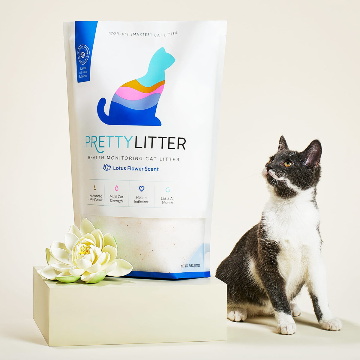 PrettyLitter Cat Litter